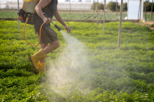 Best Best Pest Control Companies  in Alafaya, FL