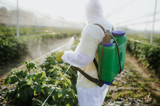 Pest Control for Restaurants in Alafaya, FL
